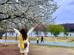 -盘龙城国家考古遗址公园