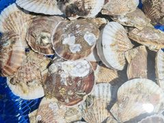 -渔港甄宴·海鲜·地标烟台菜(金沙滩店)