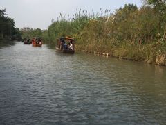 -溱湖国家湿地公园