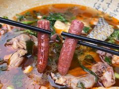 -芙蓉树下冒菜·麻辣烫(农院店)