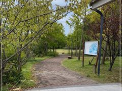 -上海吴淞炮台湾国家湿地公园