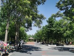-绿堤公园