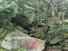 -庐山风景区花径公园