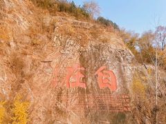 -大伊山景区