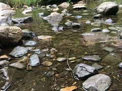 -碓臼峪自然风景区