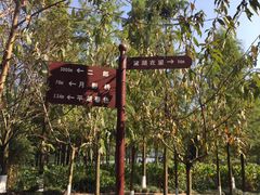 -重庆彩云湖湿地公园