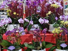 -沃尔玛购物广场(燕郊店)