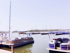 -滴水湖帆船营地