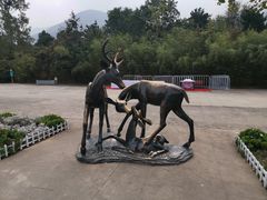 -西安秦岭野生动物园