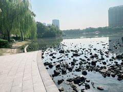 -南翔镇银翔湖公园