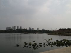 -尚贤河湿地