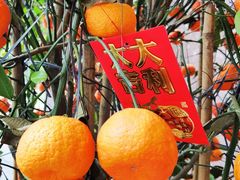 -广州汇华希尔顿逸林酒店