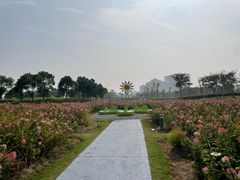 -春花秋色城市公园