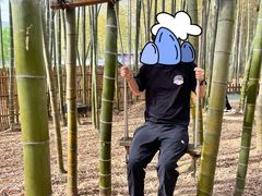 -陶祖圣境风景区