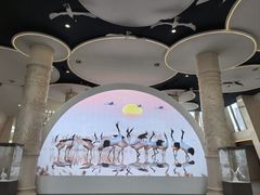 -盐城丹顶鹤湿地生态旅游区