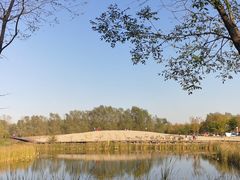 -东郊湿地公园