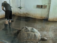 -太原动物园