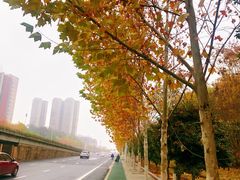 -瑞幸咖啡(长城万富汇店)