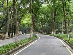 -火炉山森林公园