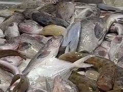 -旺角小渔村(幸福中路店)