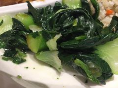 炒青菜-素满香·素食自助餐(苏州·临顿路店)