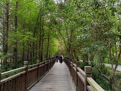 -溱湖国家湿地公园