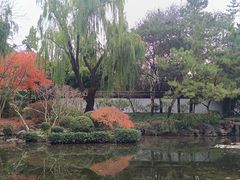 -秋霞圃