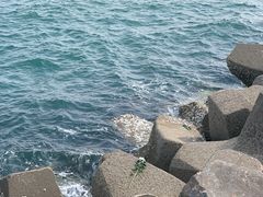 -八大峡公园