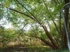 -西湖风景区-江洋畈生态公园
