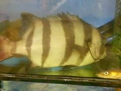 -合家小菜餐馆(新诚花苑店)