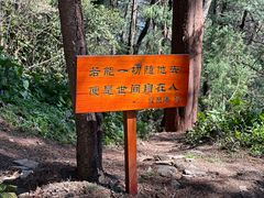 -寂照庵
