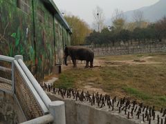 -西安秦岭野生动物园