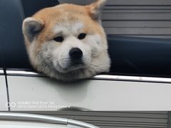 -余氏豆腐包老店(东直街店)