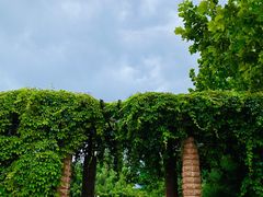 -南开大学滨海学院