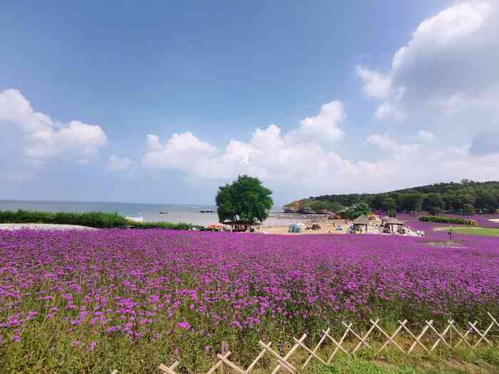 金石滩心悦岛文化休闲公园-"你们去过大连金石滩嘛?这里就是金石滩.