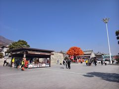 -泰山风景名胜区-虎山公园