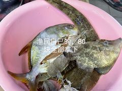 -蛇口市场
