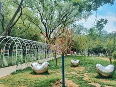 园内环境-双榆树公园