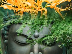 -杭州植物园