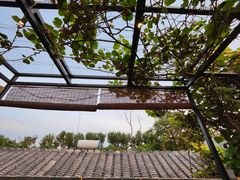 -后海16号·北京私房菜