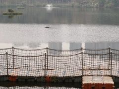 -重庆彩云湖湿地公园