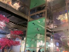 -鲜潭蒸汽石锅鱼(五道口购物中心店)