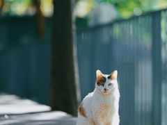 -苏州河梦清园环保主题公园