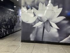 -循礼门鲜花花市(武汉循礼门店)