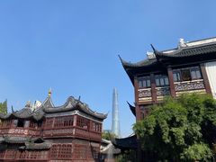 -绿波廊(豫园店)