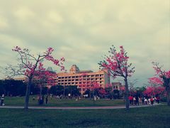 -风云岭森林公园