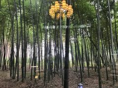 -同里国家湿地公园