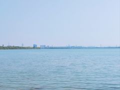 -漕湖湿地公园