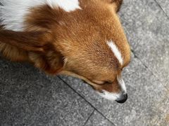-简象咖啡CAFE ELE JANE(满陇桂雨店)