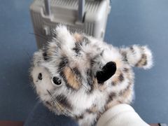 -青藏高原野生动物园